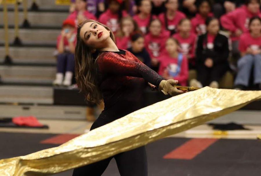 Mars Area Winterguard performing